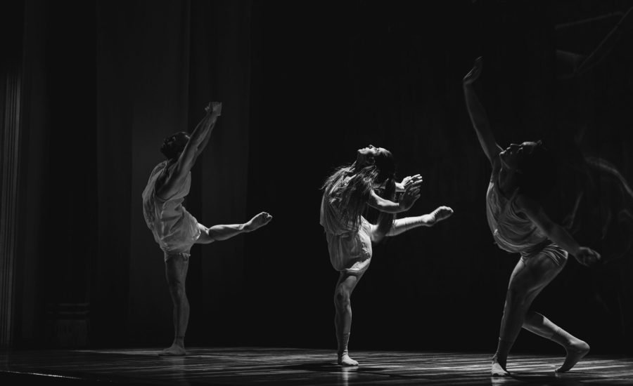 ariel-salgado-Oa6gMVyO8Jk-unsplash